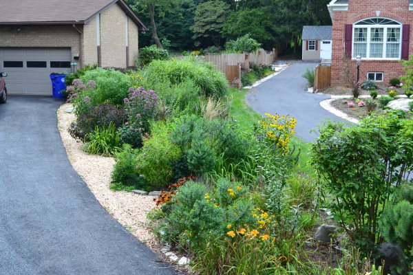Consulting & Design - Rain Garden