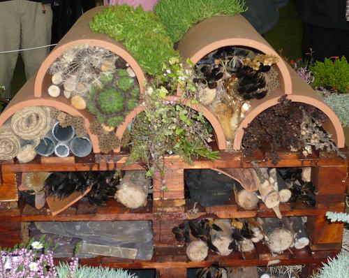 Creative Habitat | Ecologia Design / 240.344.5625
