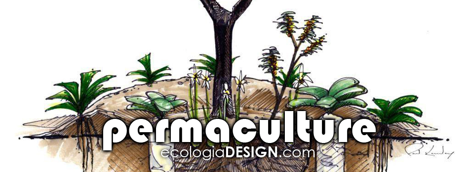 permaculture